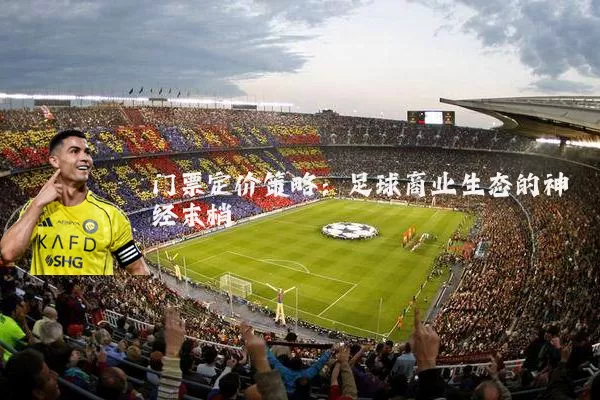 门票定价策略:足球商业生态的神经末梢